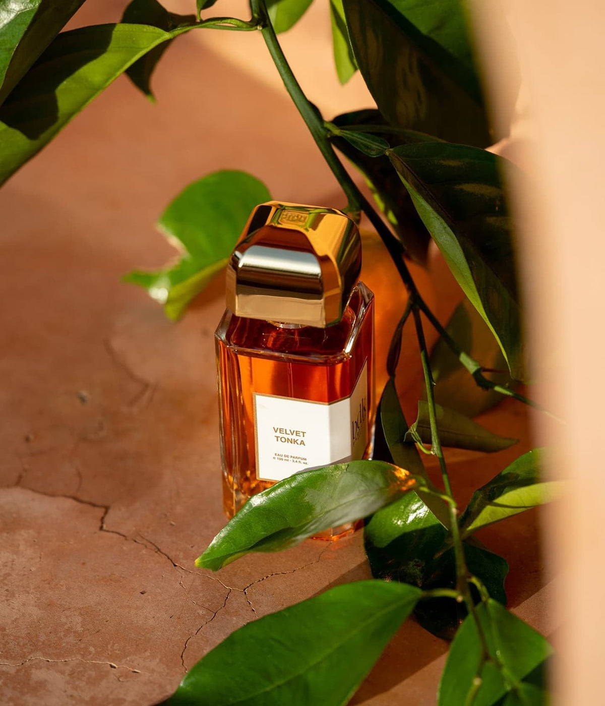 Eau de Parfum Velvet Tonka