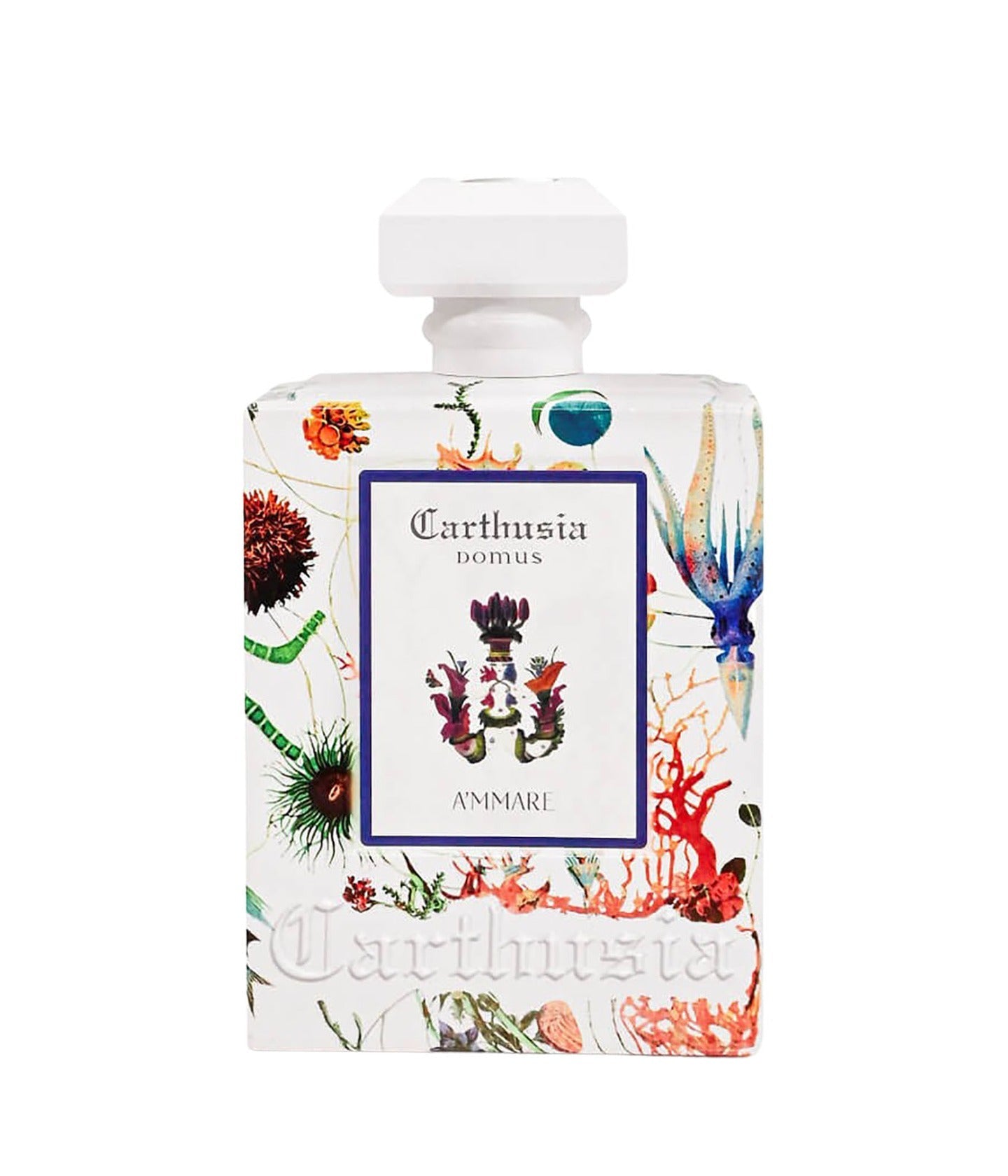 Reed Diffuser A'mmare