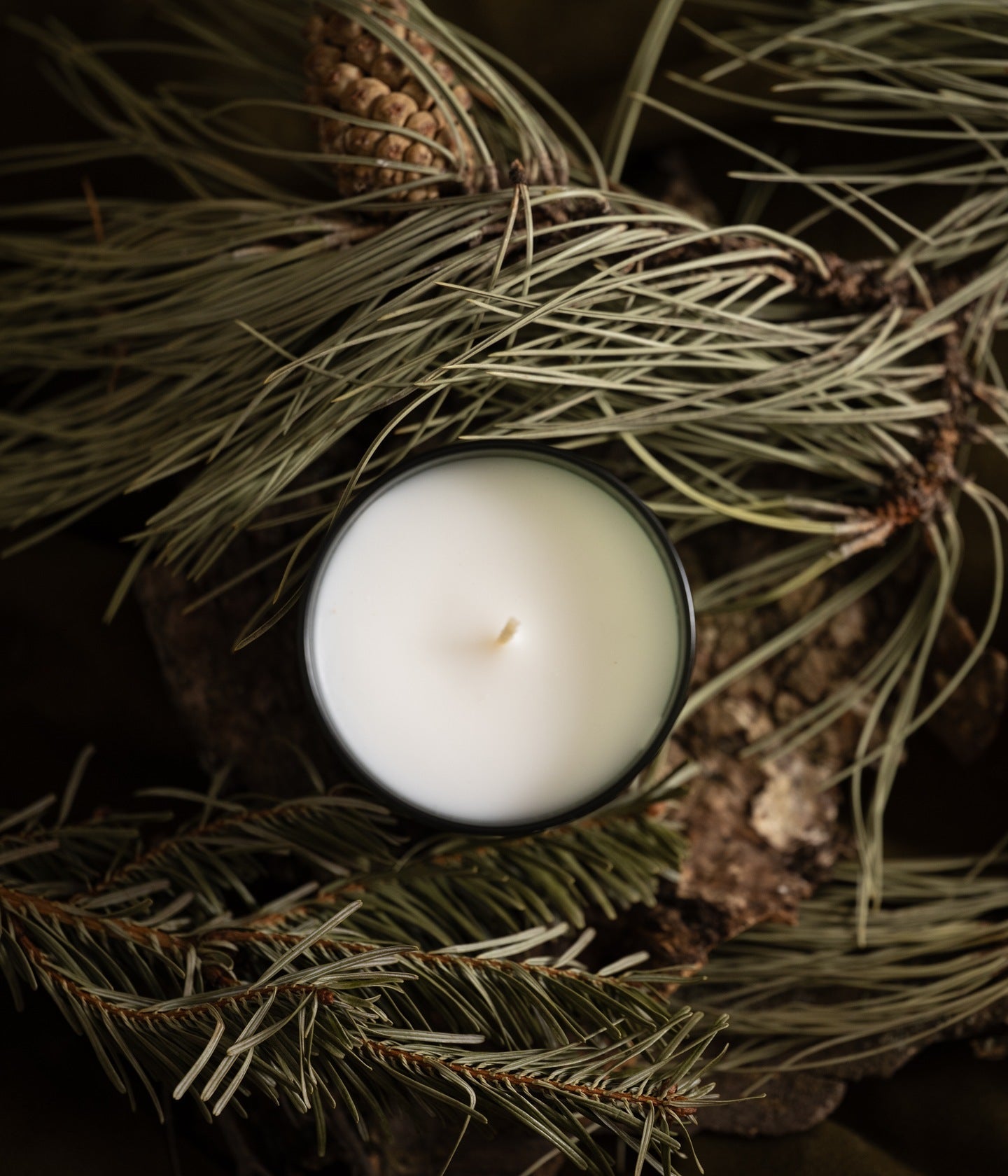 Duftkerze Forêts 75g – Christian Tortu