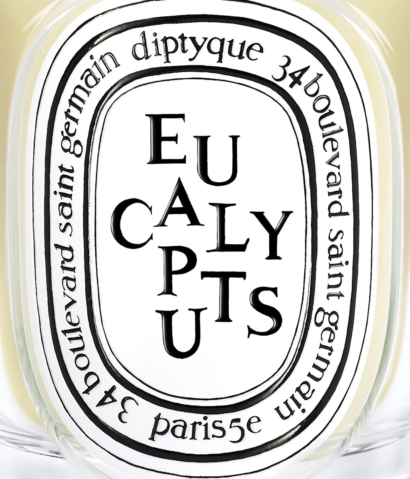 Duftkerze Eucalyptus Detail – Diptyque