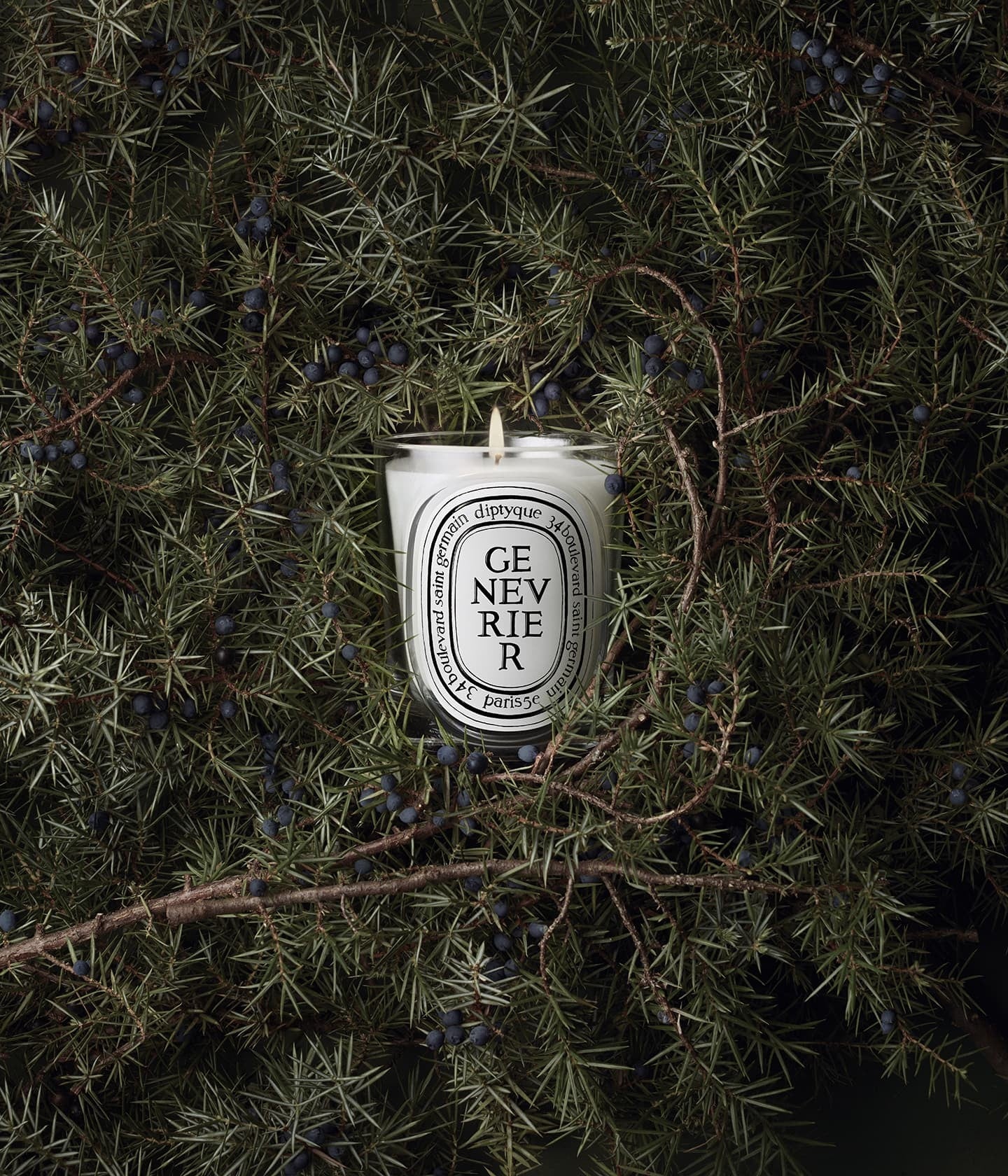 Duftkerze Genévrier Mood – Diptyque