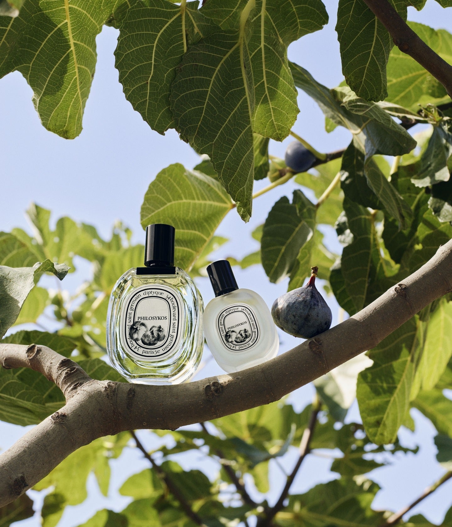 Haarparfum Philosykos Mood – Diptyque