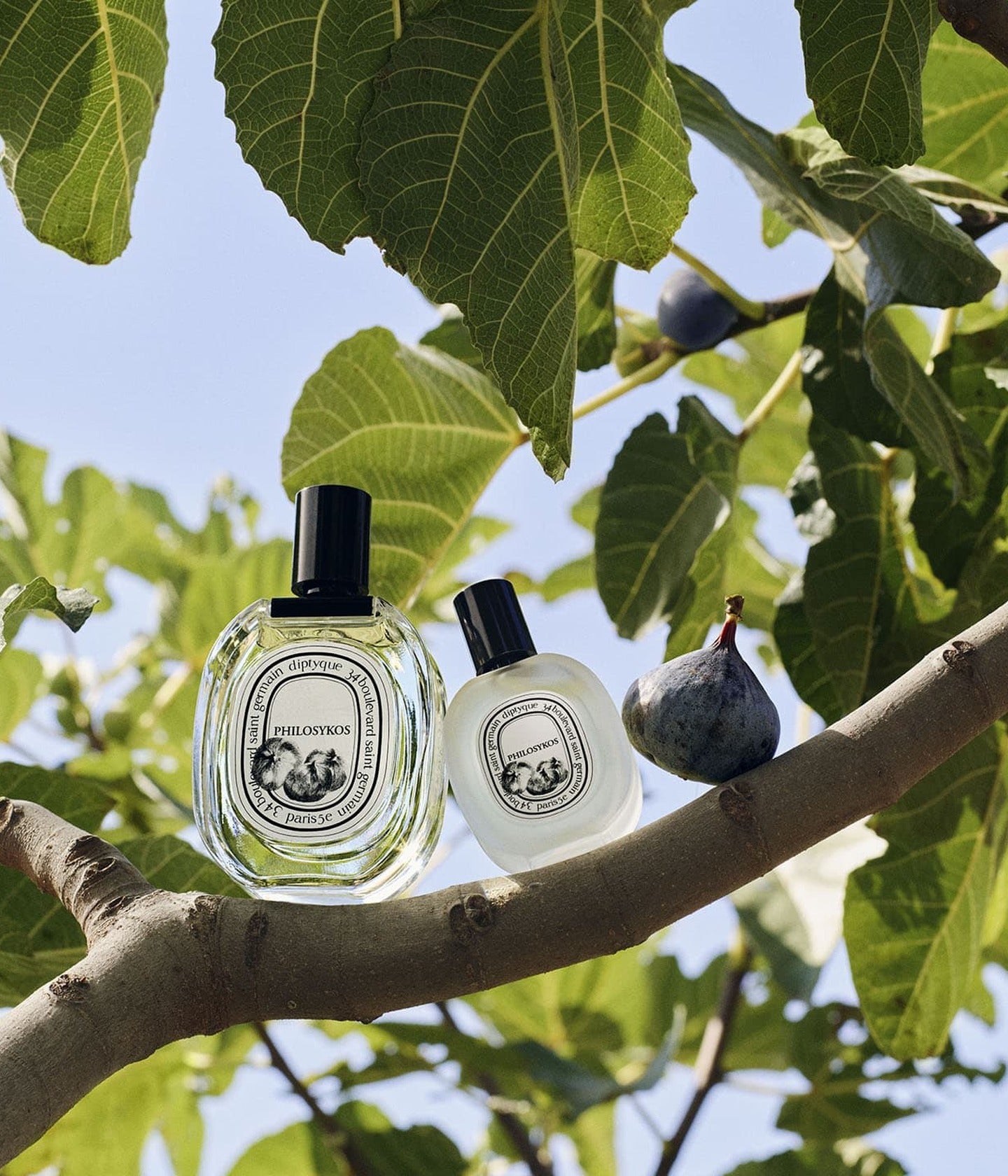 Haarparfum Philosykos Mood – Diptyque
