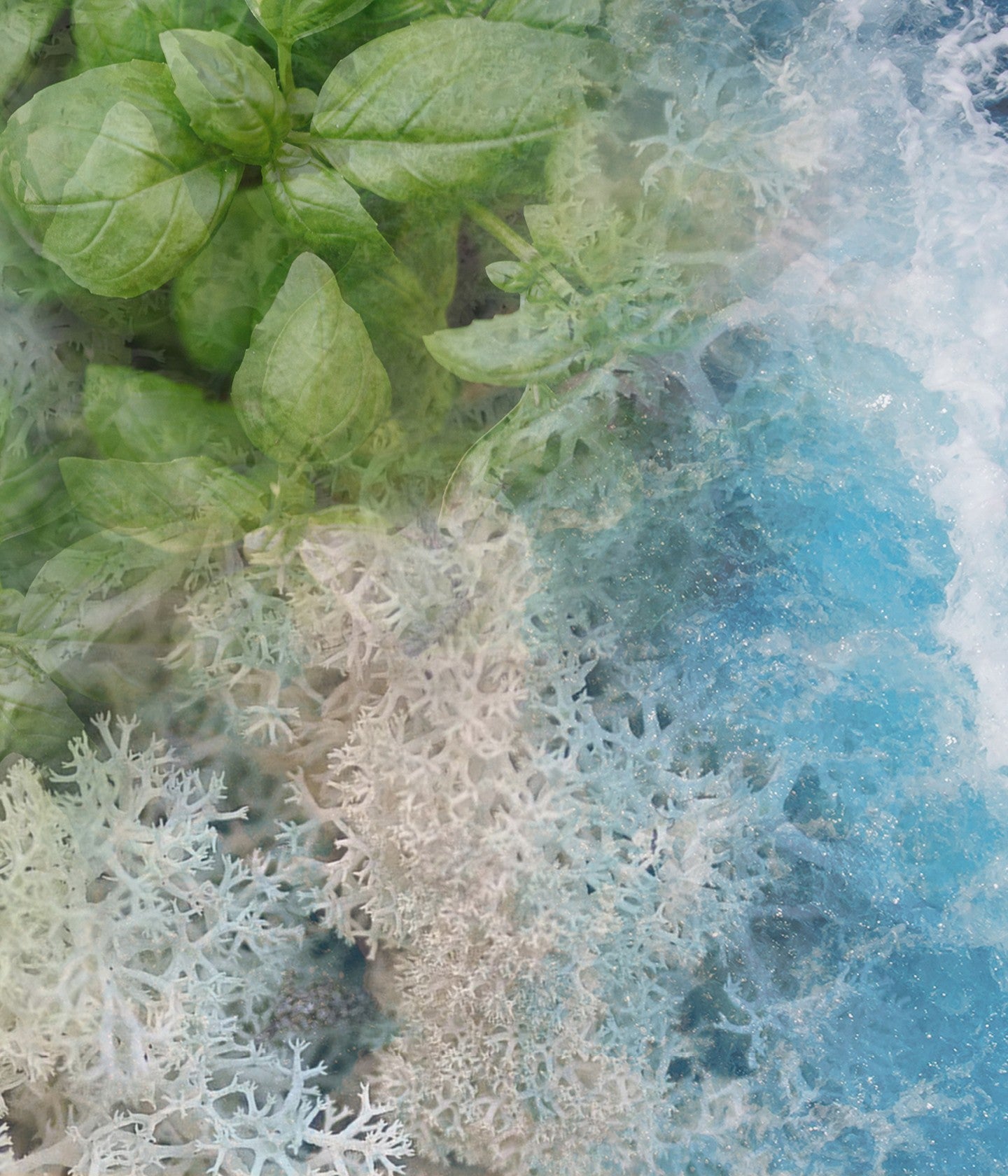 Diffusor Acqua