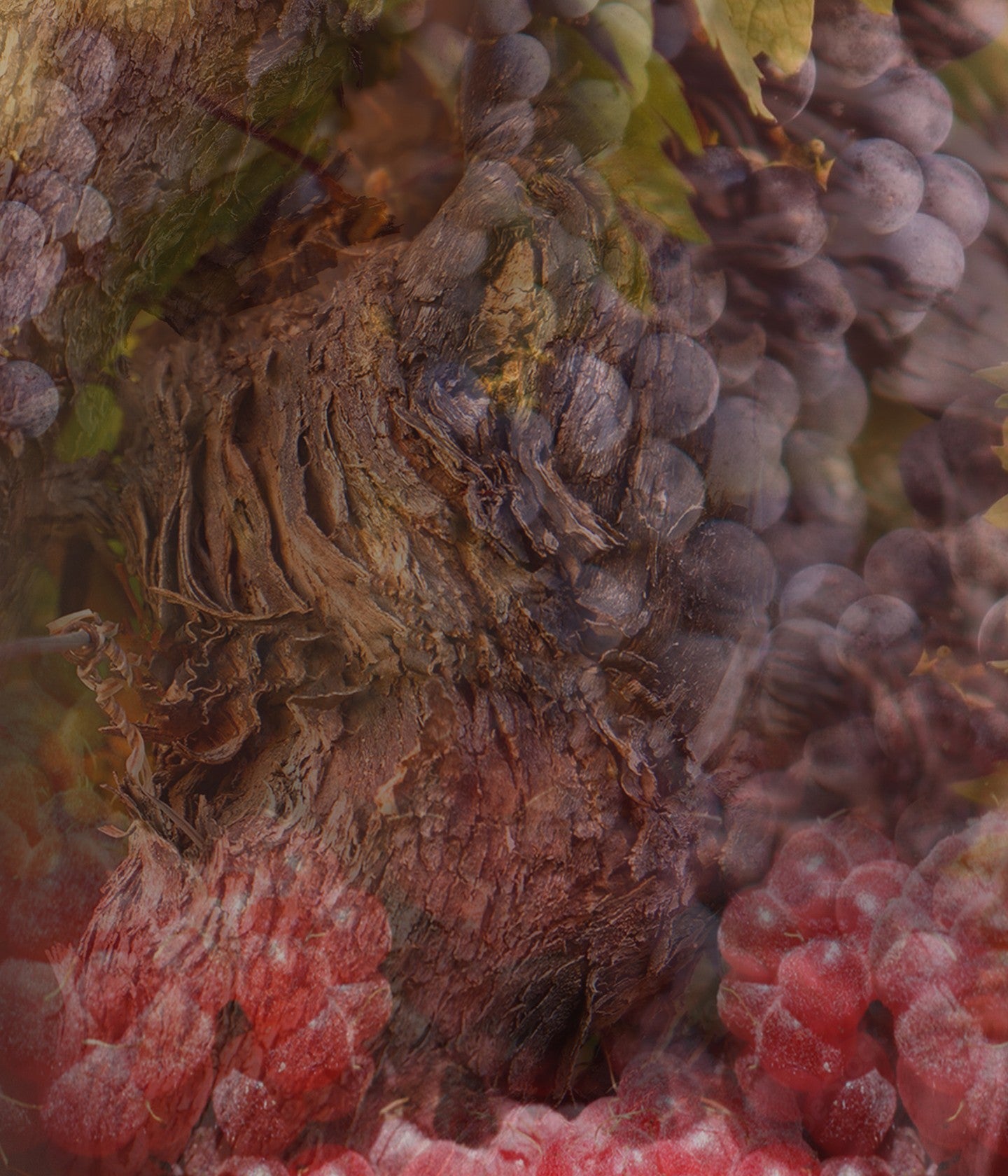 Duftkerze Rosso Nobile