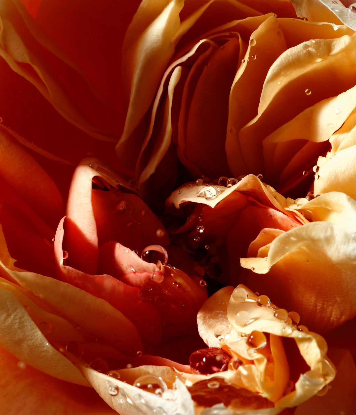 Handcreme Pepper & Rose