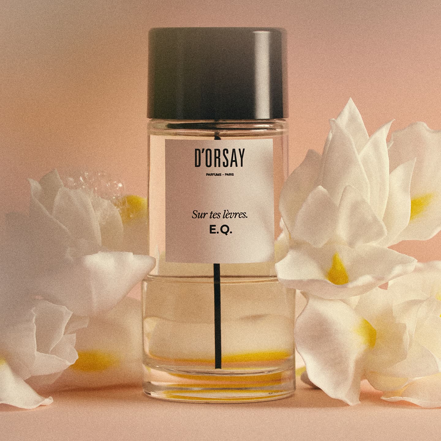 Eau de Parfum G.A. Dandy Or Not, 50ml