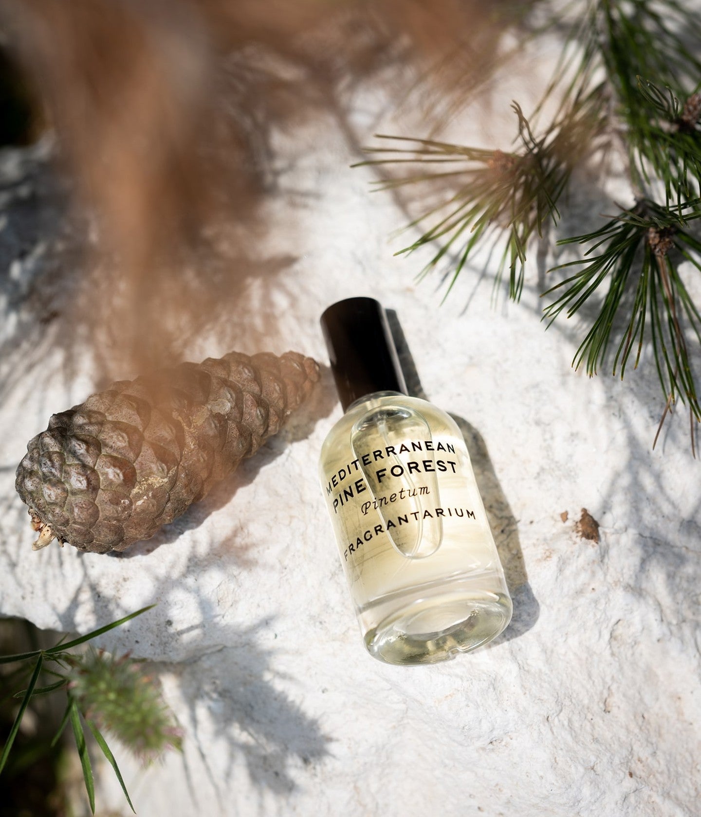 Eau de Toilette Mediterranean Pine Forest