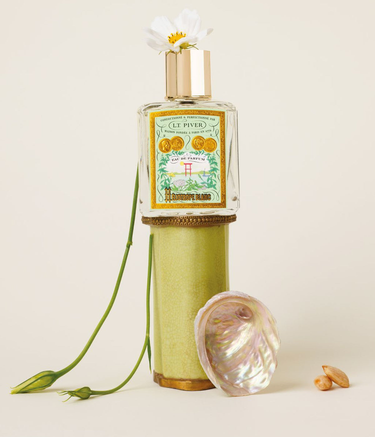 Eau de Parfum Héliotrope Blanc – L.T. Piver, still life with a daisy and mother-of-pearl