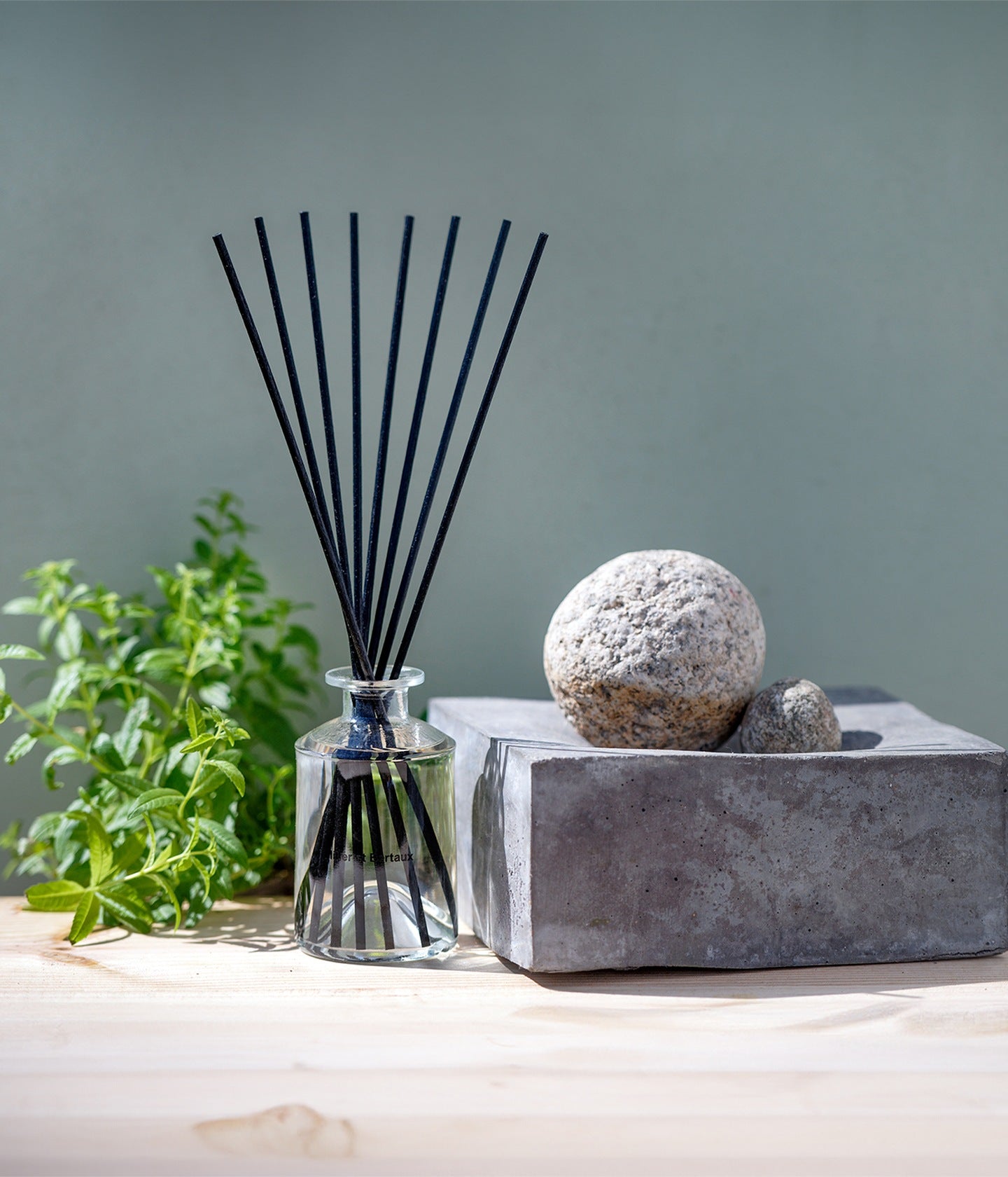 Diffusor In The Temple – Miller et Bertaux