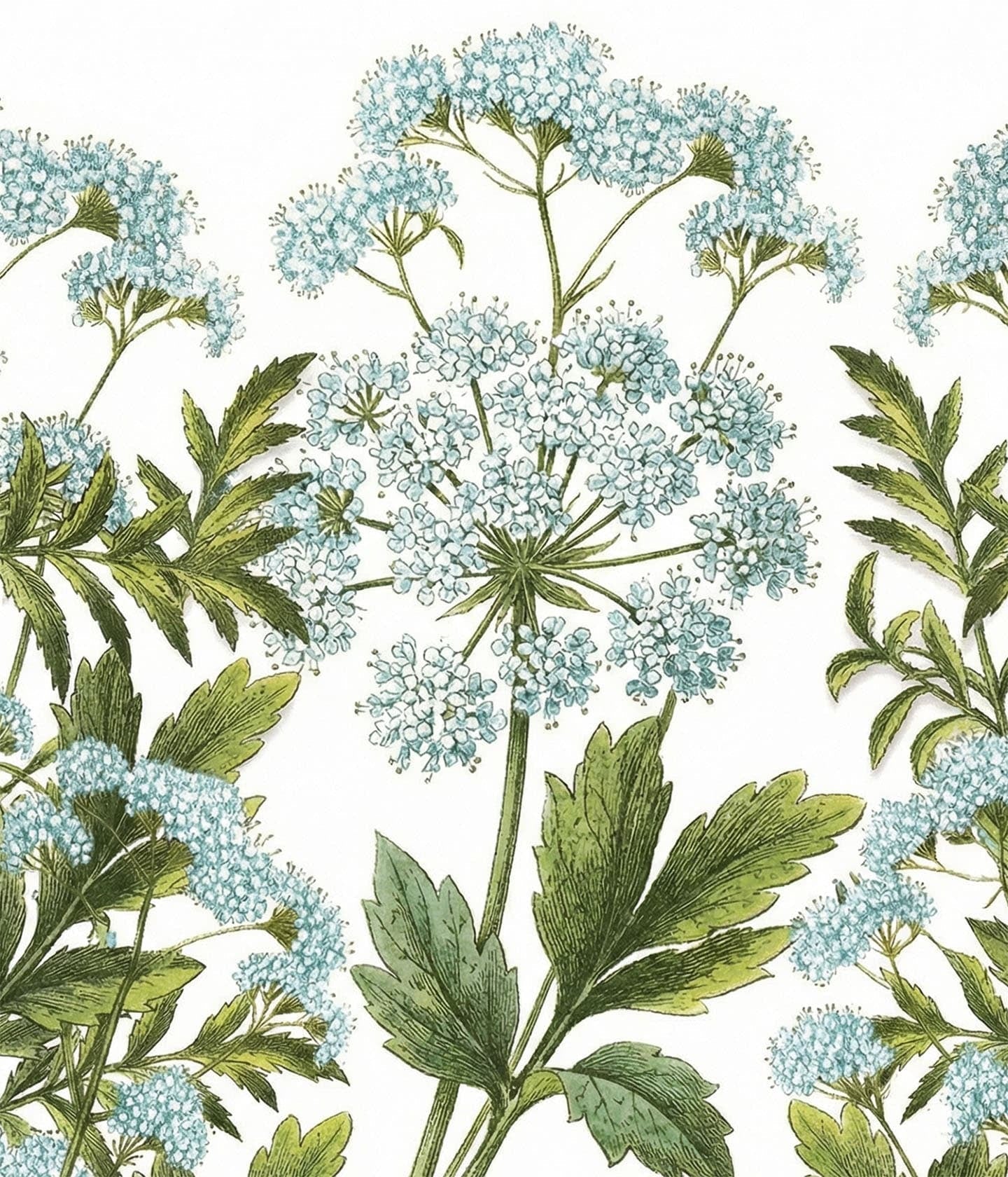 Handcreme Meerfenchel