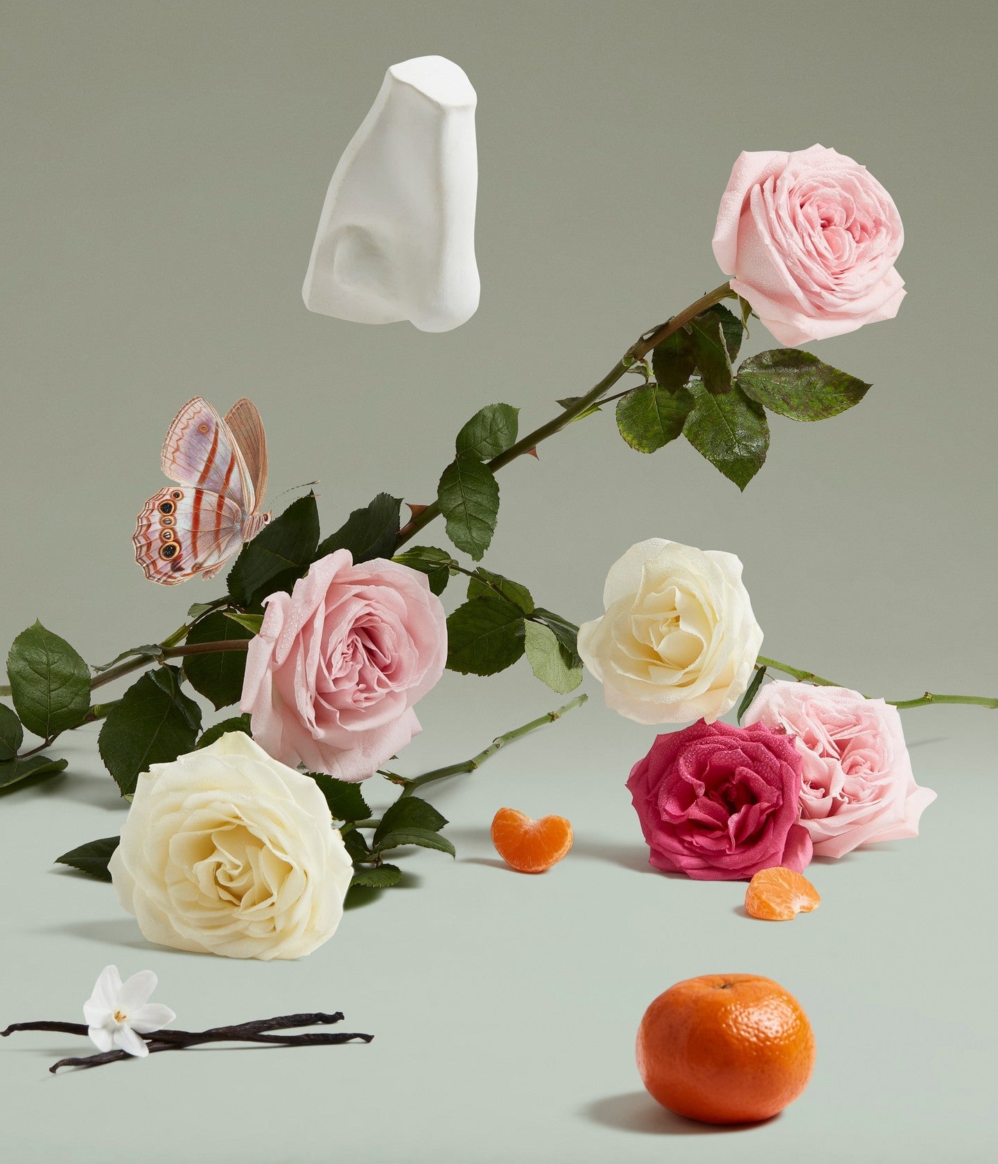 Eau de Parfum The Coveted Duchess Rose