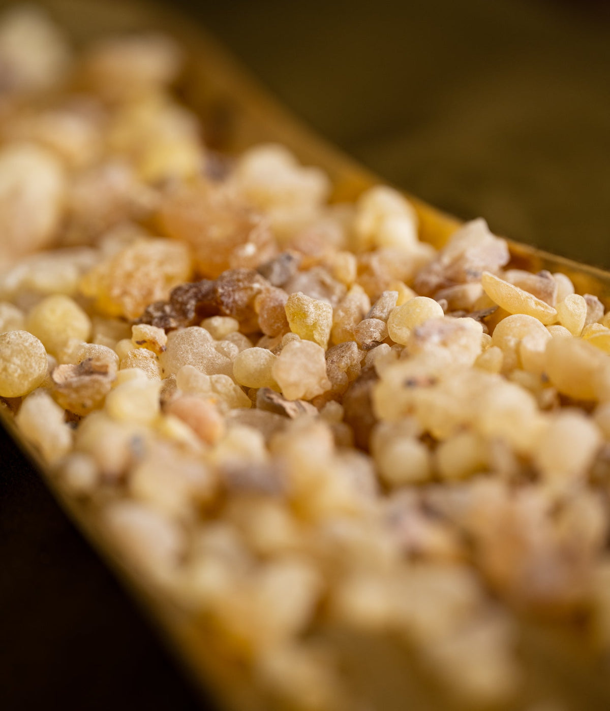 Räucherharz Frankincense Olibanum