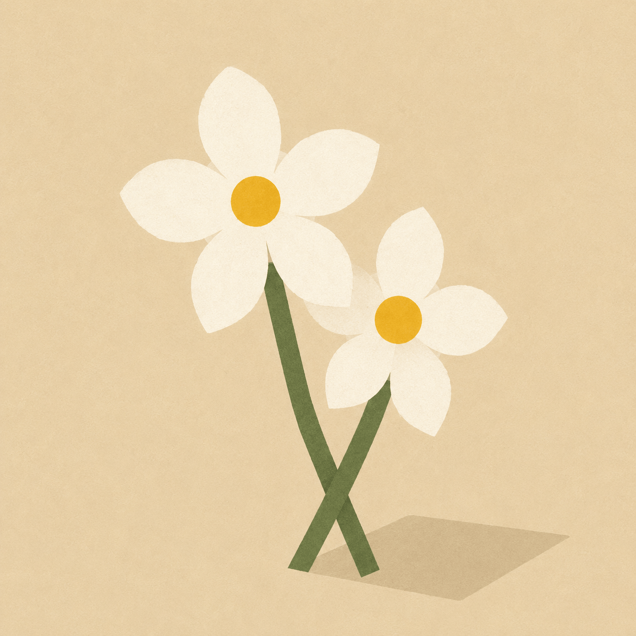 Jasmin
