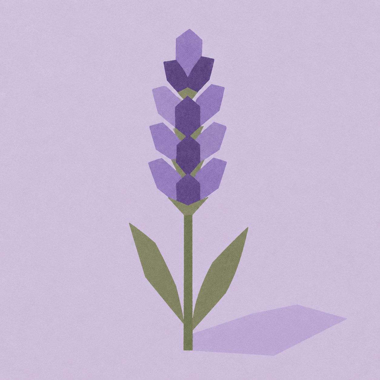Lavendel