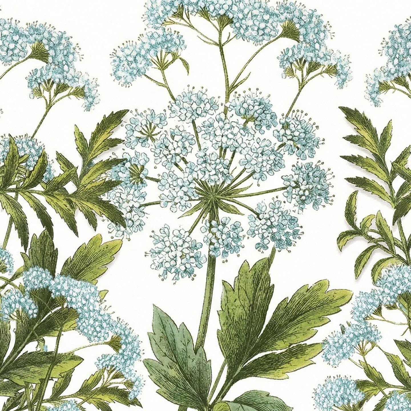 Serie: Panier des Sens > Meerfenchel