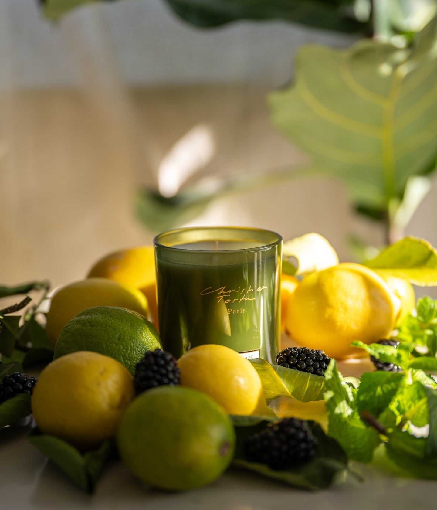 Jardin Citrus – Christian Tortu