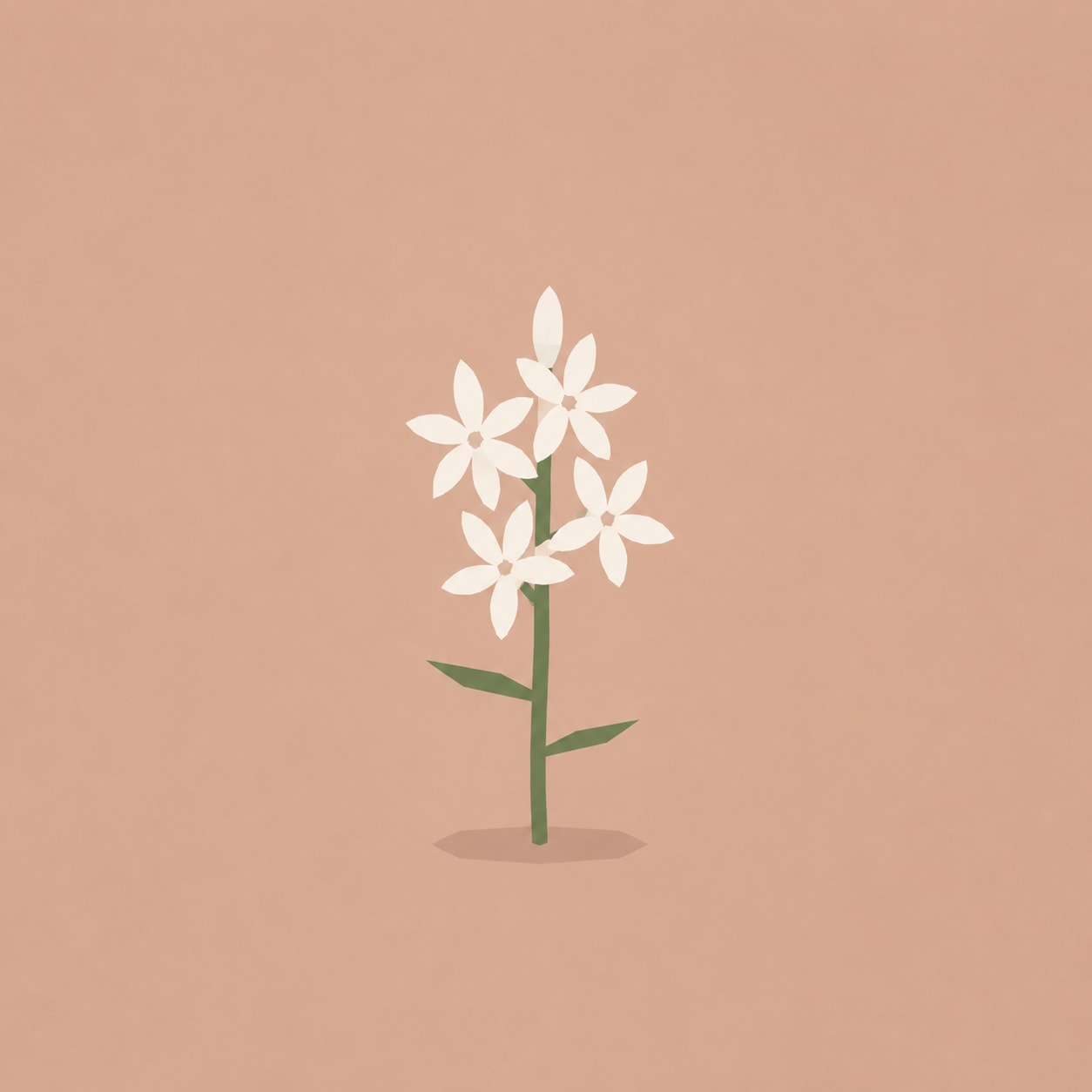 Tuberose