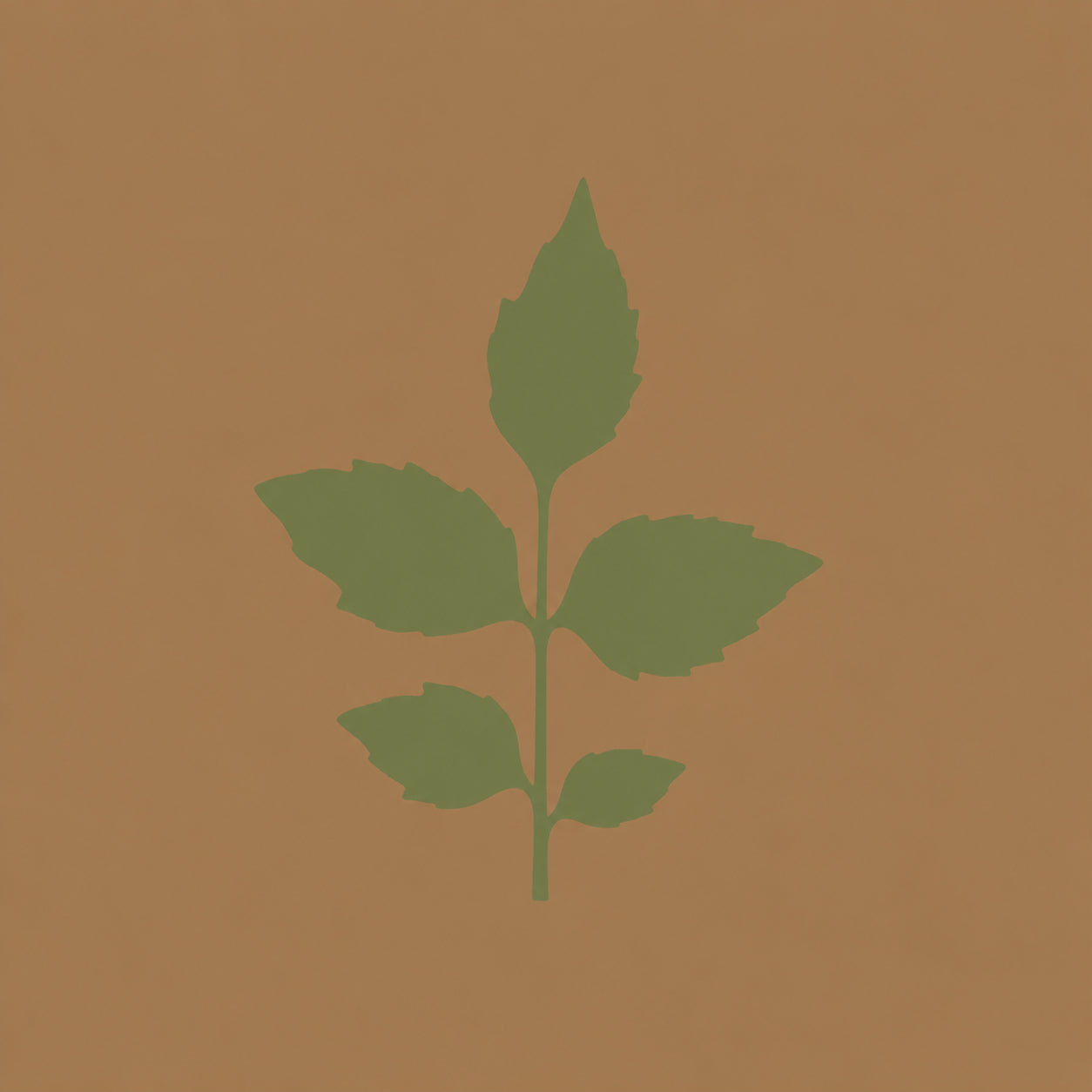 Patchouli