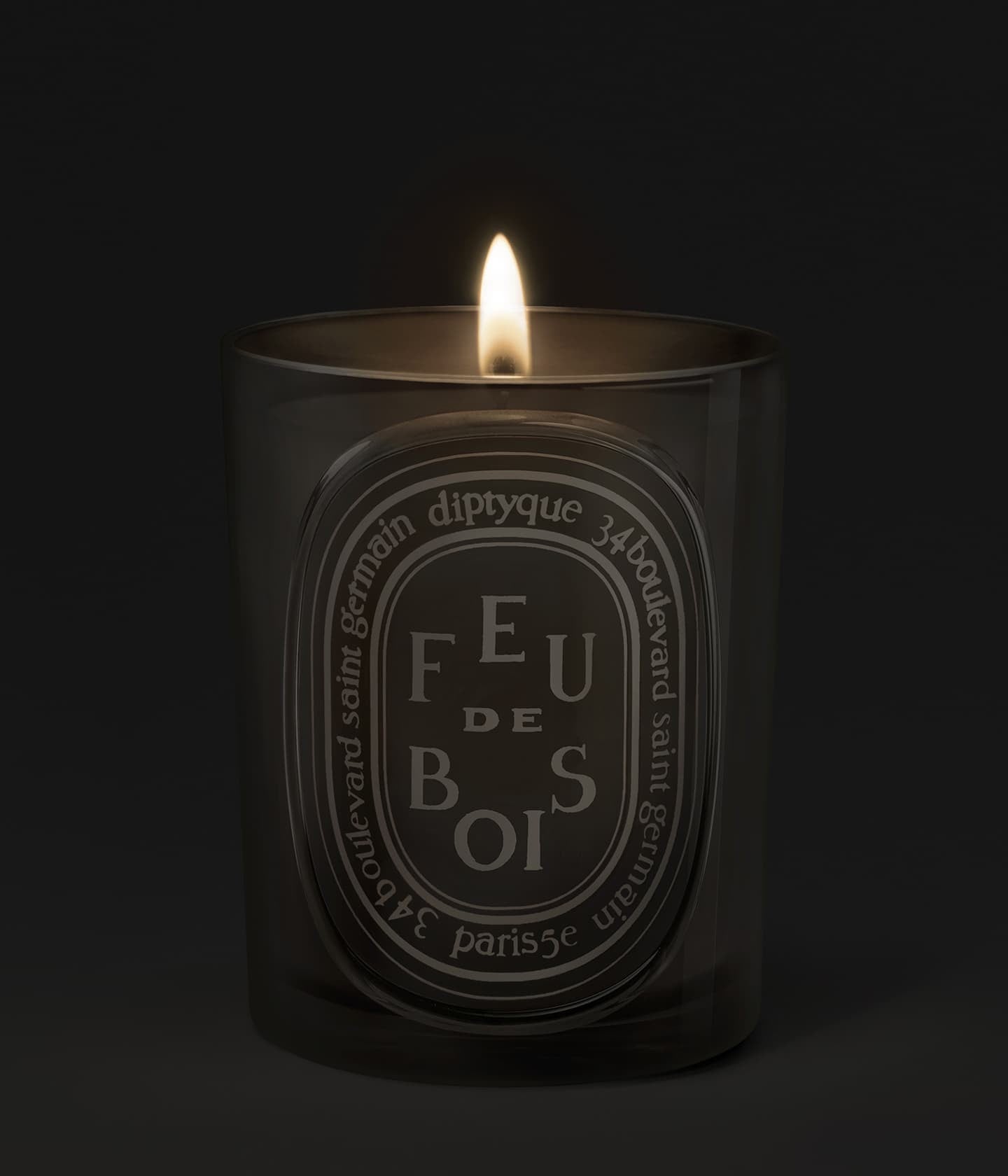 Duftkerze Feu de Bois 300g Mood – Diptyque