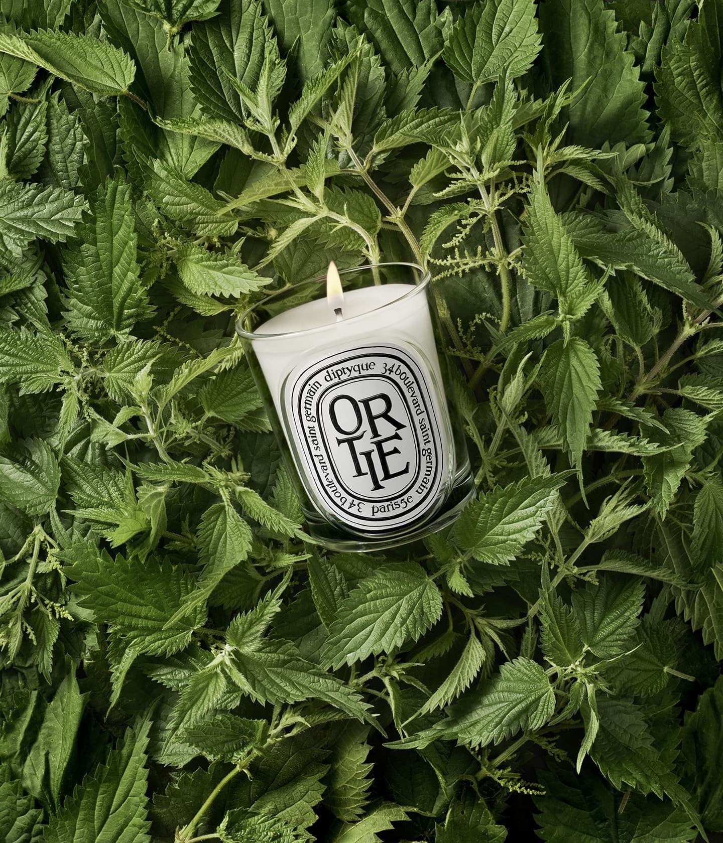 Duftkerze Ortie Mood – Diptyque