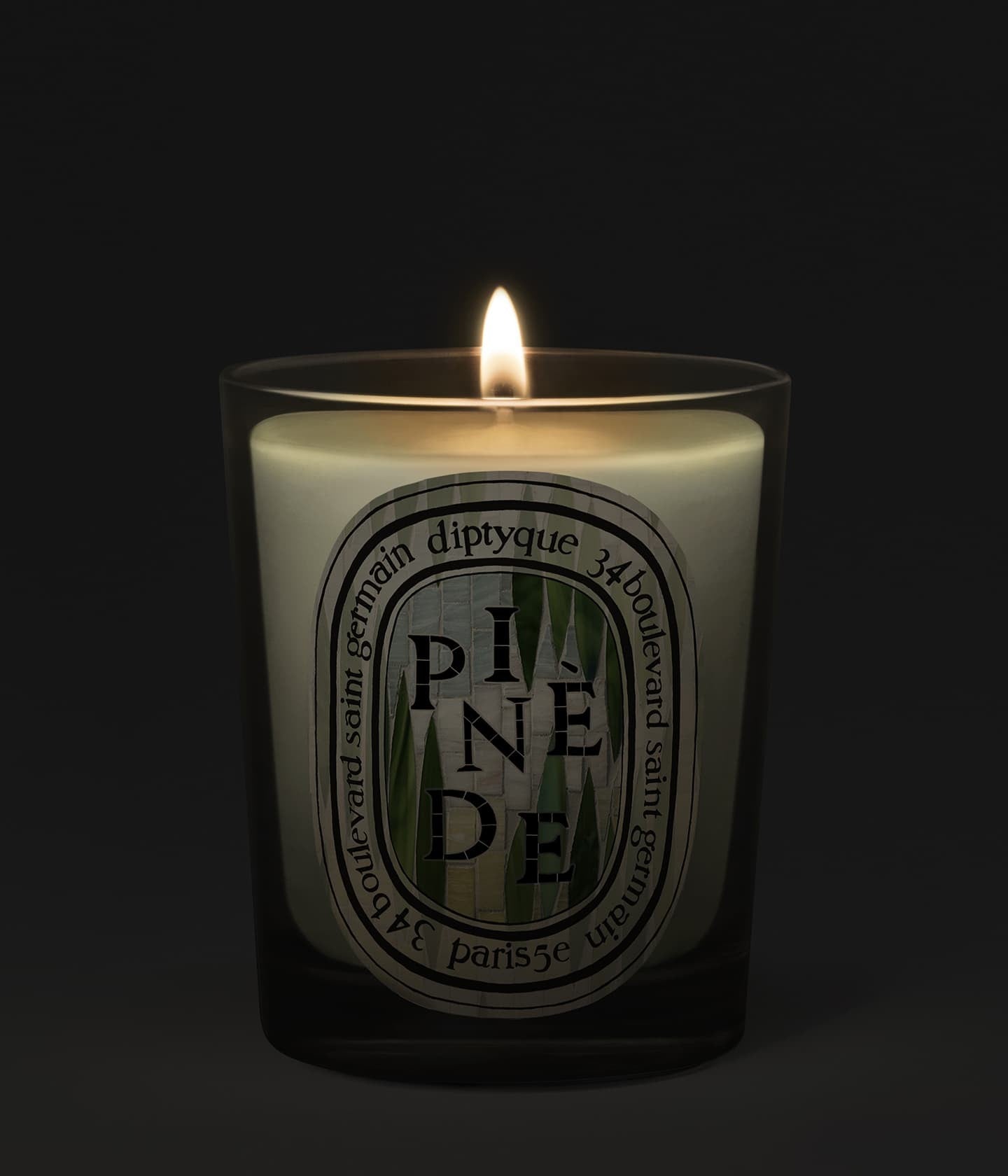 Duftkerze Pinède Limited Edition Mood – Diptyque