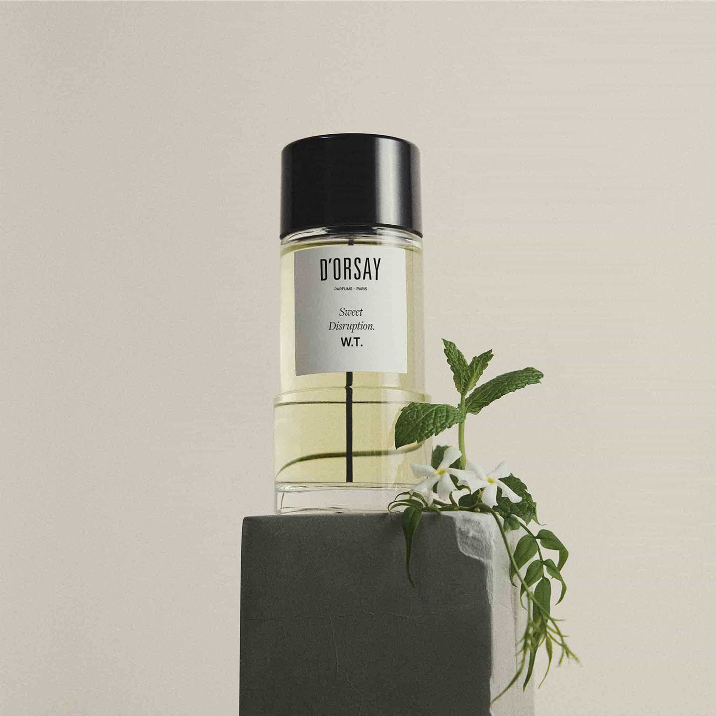 Eau de Parfum W.T. Sweet Disruption, 50ml