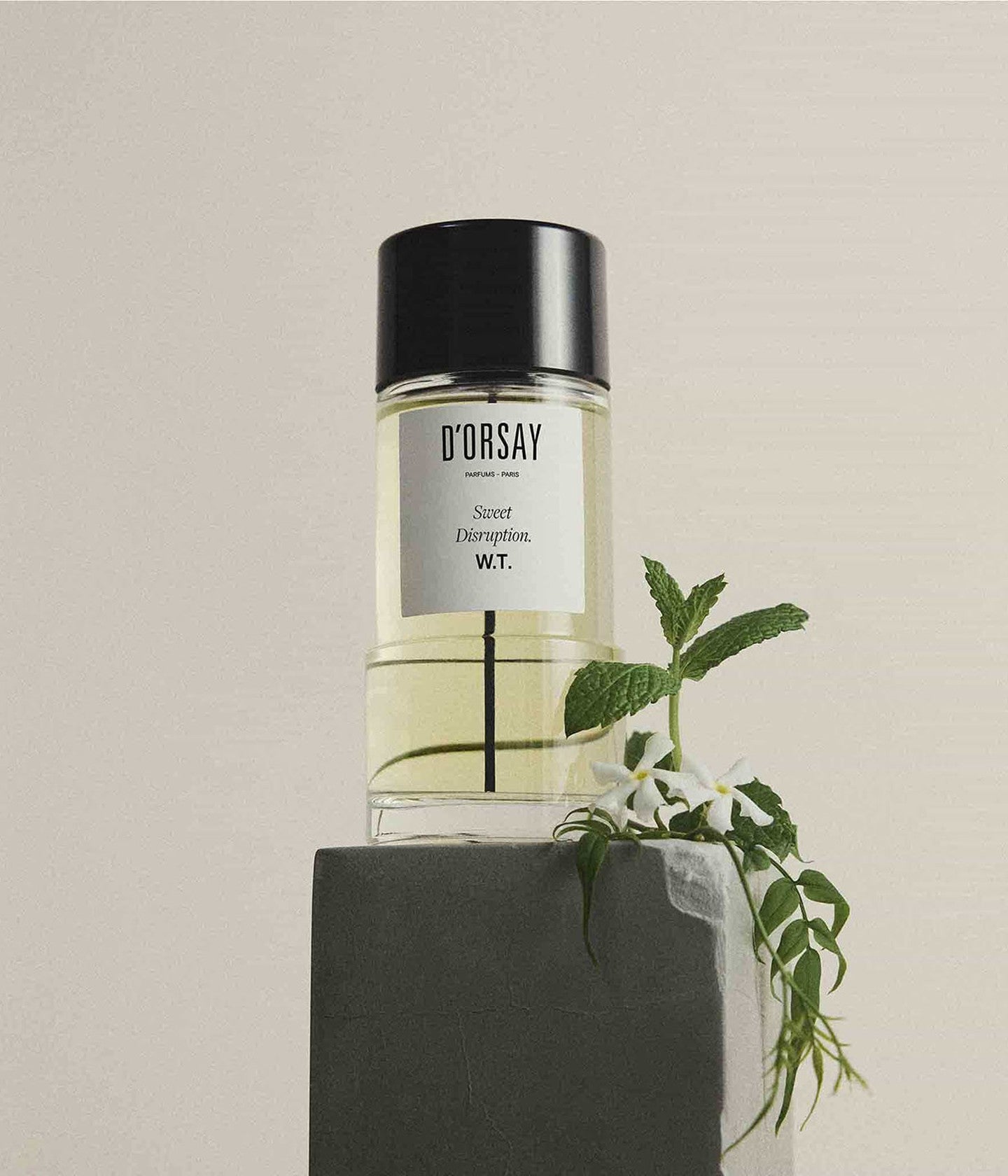 D'Orsay Eau de Parfum W.T. Sweet Disruption