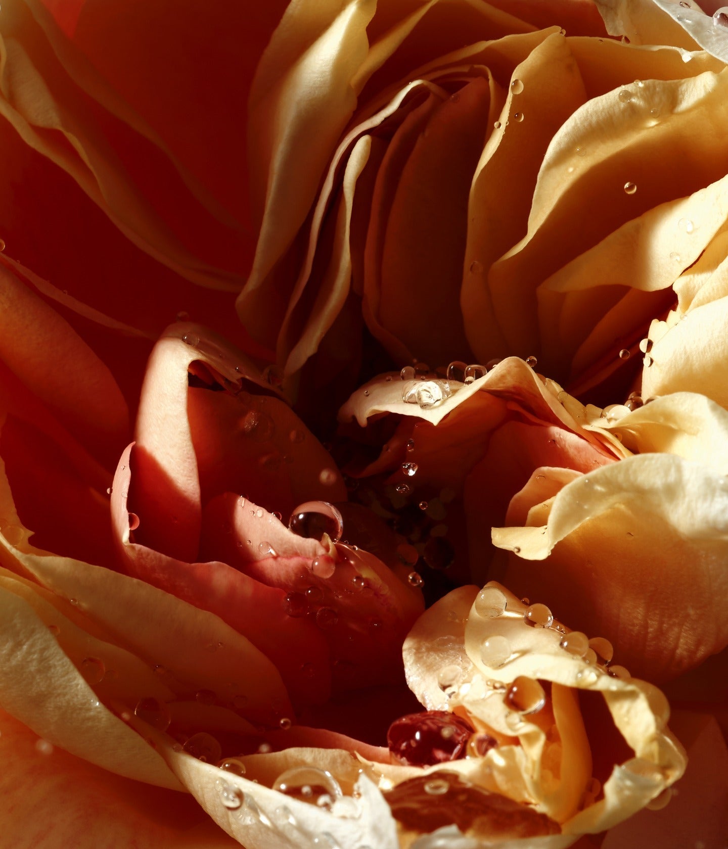 Flüssigseife Pepper & Rose