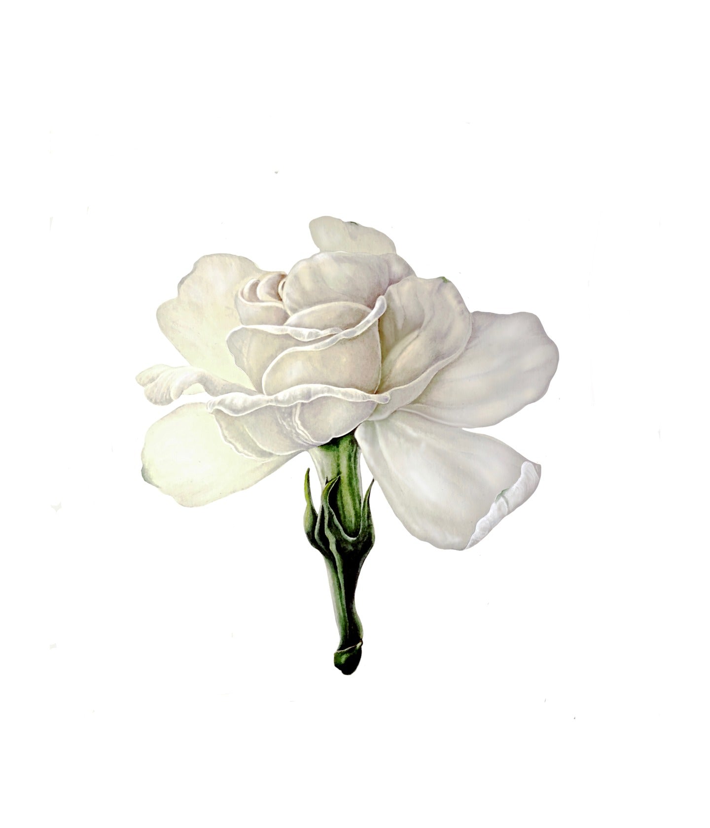 Eau de Toilette Chinese Gardenia