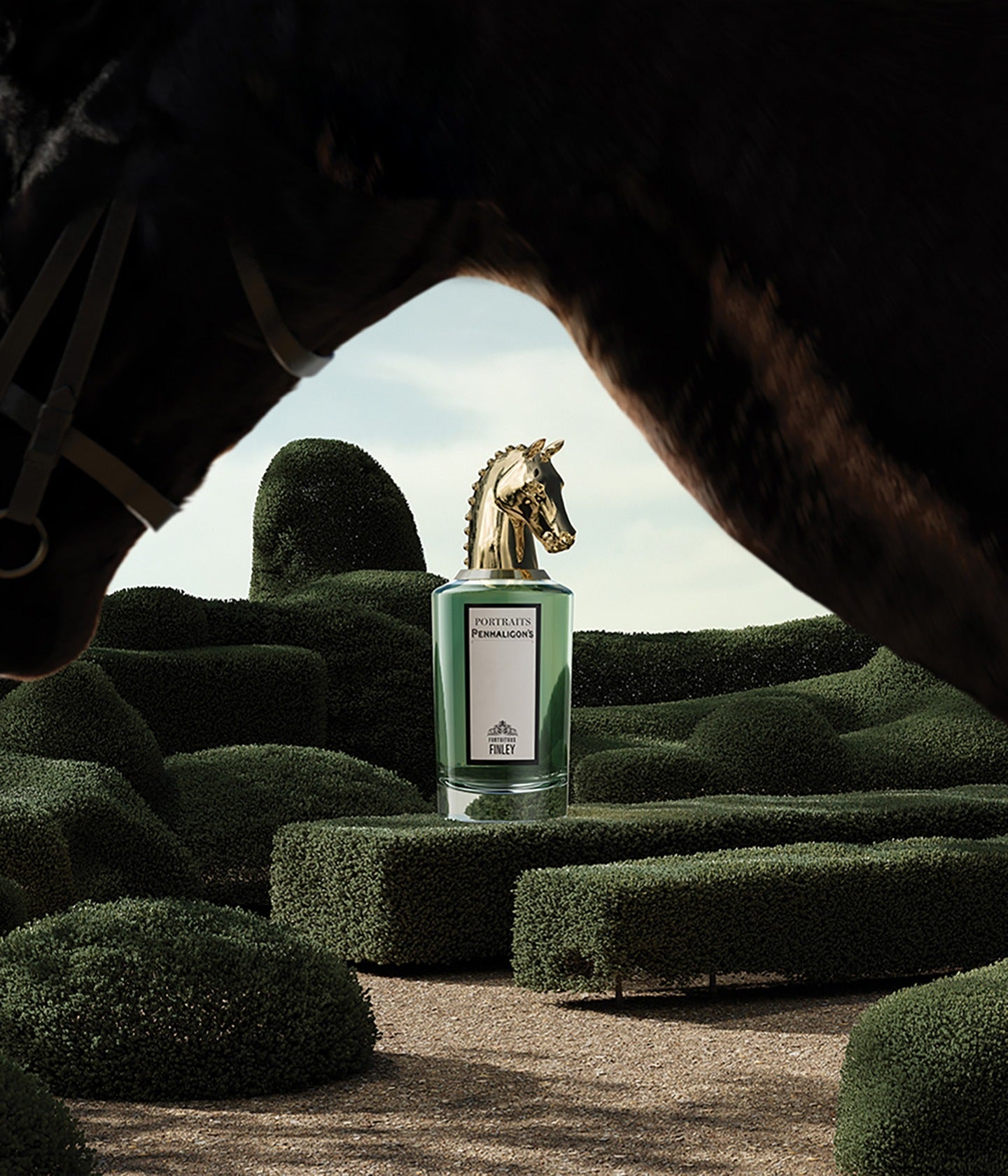 Eau de Parfum Fortuitous Finley