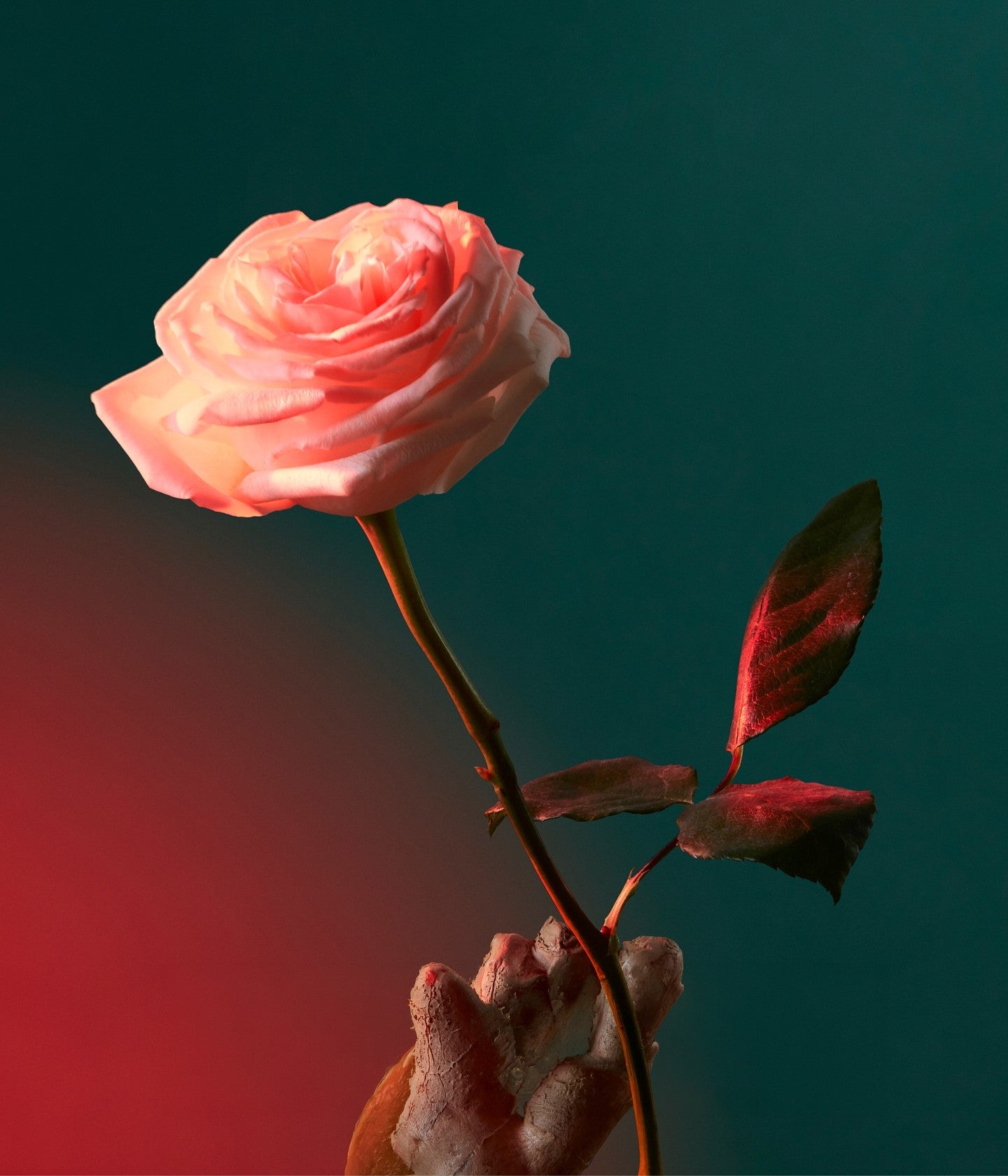 Eau de Parfum Liquid Love