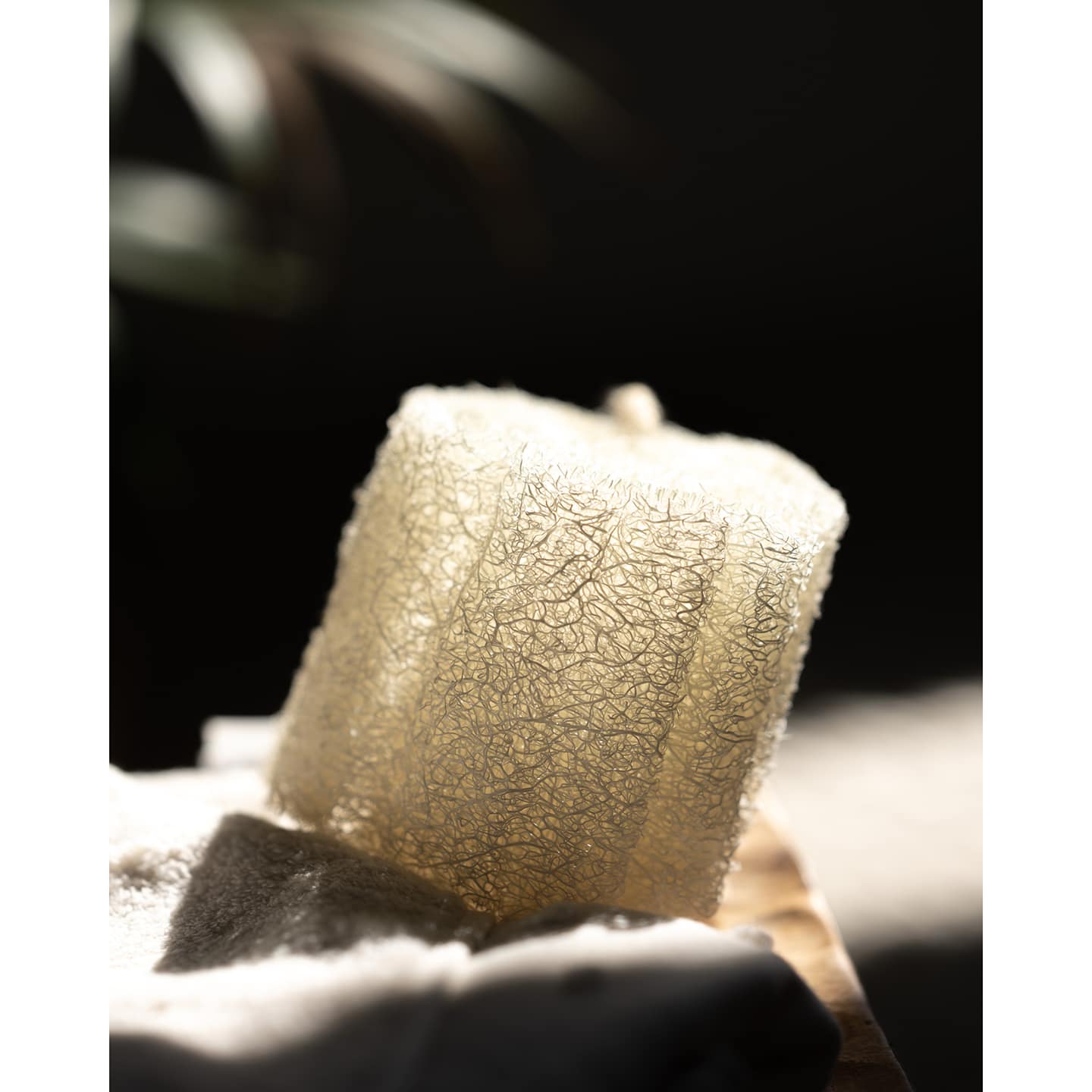 Luffa Natural Sponge