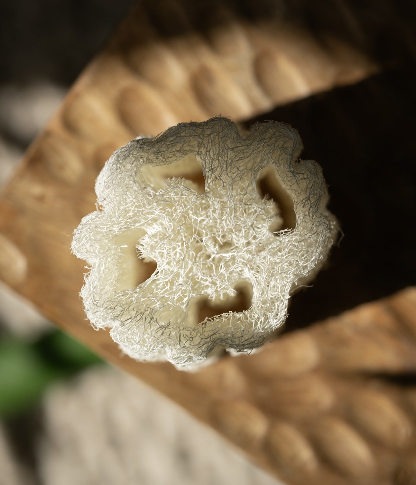 Naturschwamm Luffa